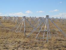 LWA1 antenna forest consists of 257 crossed-dipole antennas.