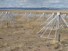 LWA1 antenna forest.