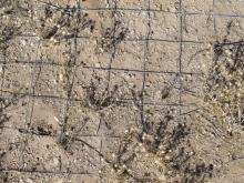 “Chicken wire” grounding screen at LWA1 used to stabilize the conductivity and permittivity of the area below each dual-dipole antenna.